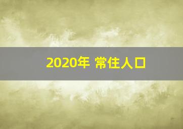 2020年 常住人口